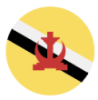 Brunei Flag