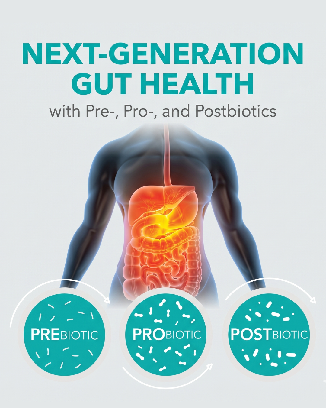 Pre-, Pro-, and Postbiotics The Next Generation Gut Health