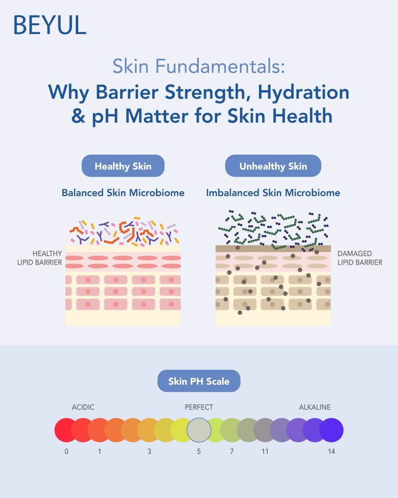 Skin Fundamentals: Why Barrier Strength, Hydration &amp; pH Matter for Skin Health