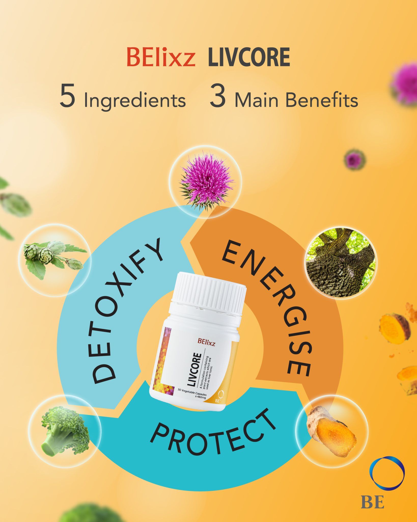 BElixz LIVCORE Guide: Natural Liver Support, Ingredients &amp; Benefits