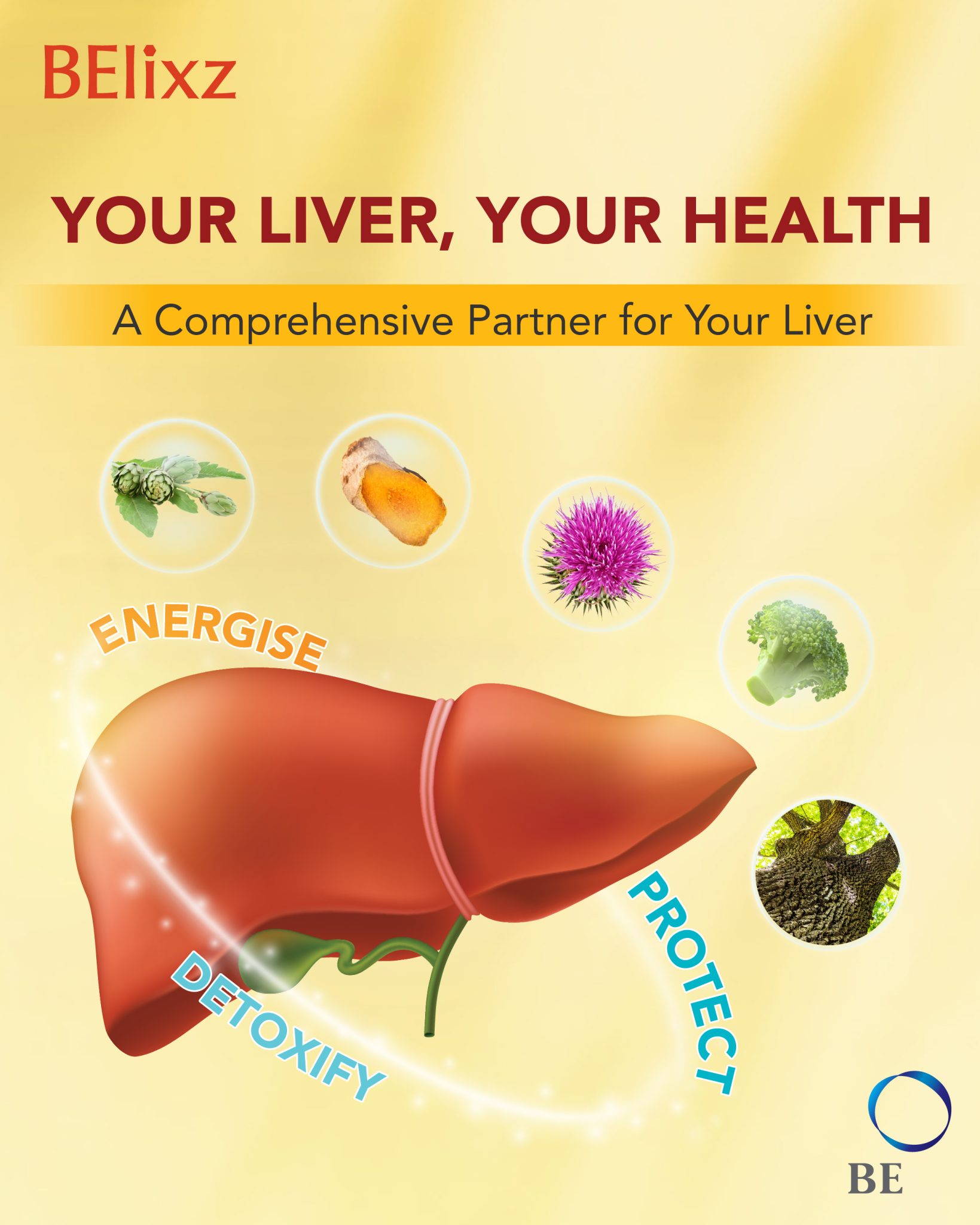 Your Liver, Your Health. A Comprehensive Partner for Your Liver