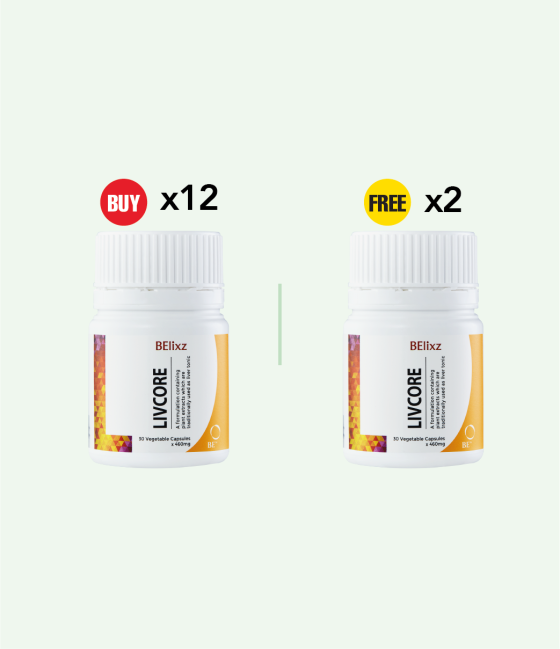 Buy 12x BElixz LIVCORE (30caps) Free 2x BElixz LIVCORE (30caps)
